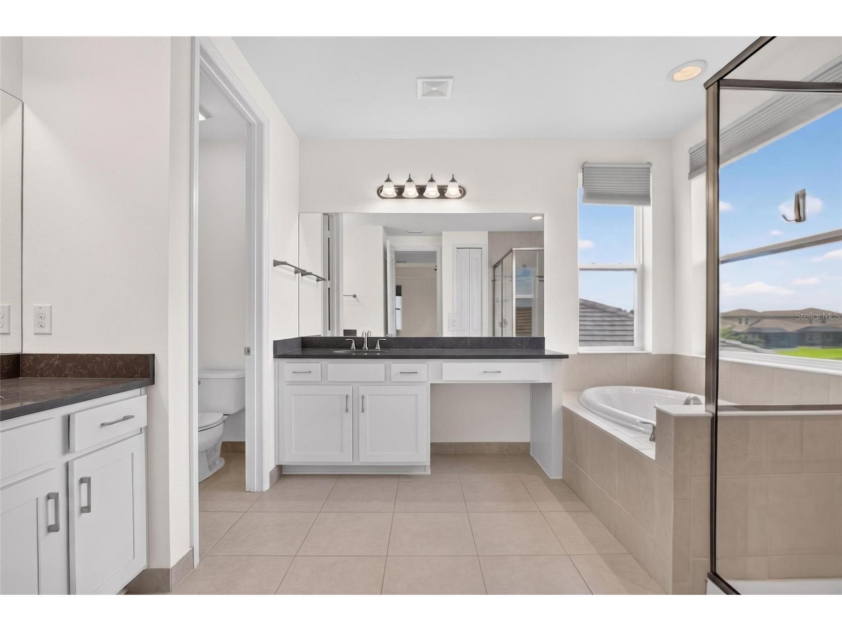 31142 Lindentree Drive Wesley Chapel FL 33543 TB8528584 image23