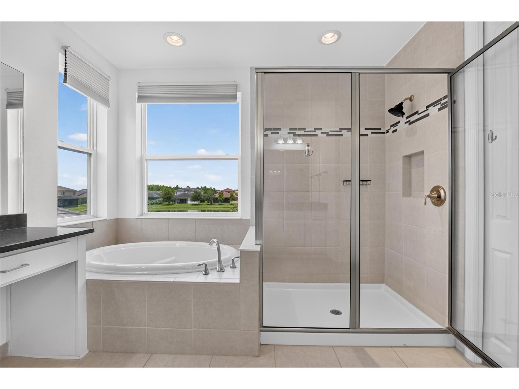 31142 Lindentree Drive Wesley Chapel FL 33543 TB8528584 image25