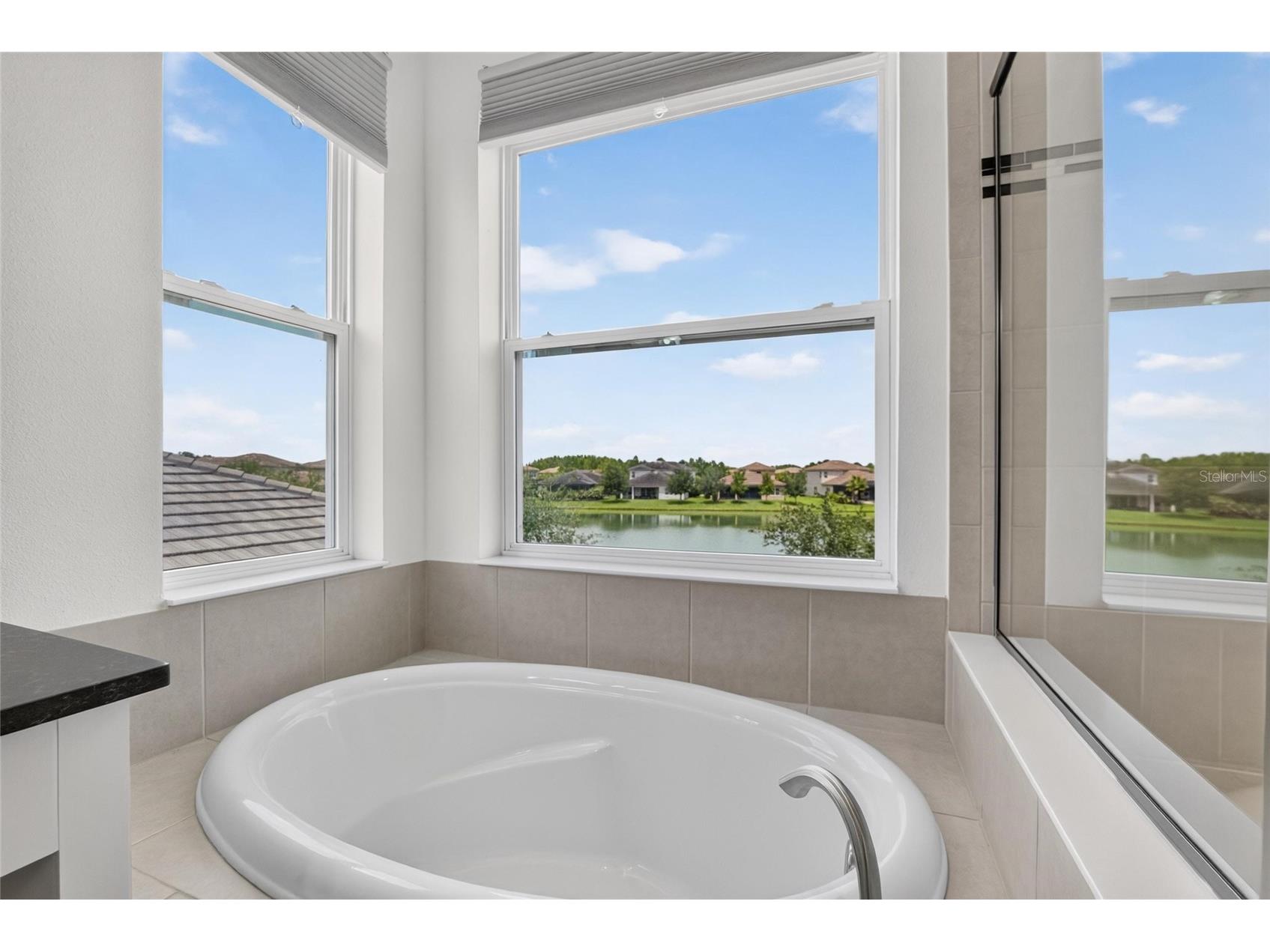 31142 Lindentree Drive Wesley Chapel FL 33543 TB8528584 image26
