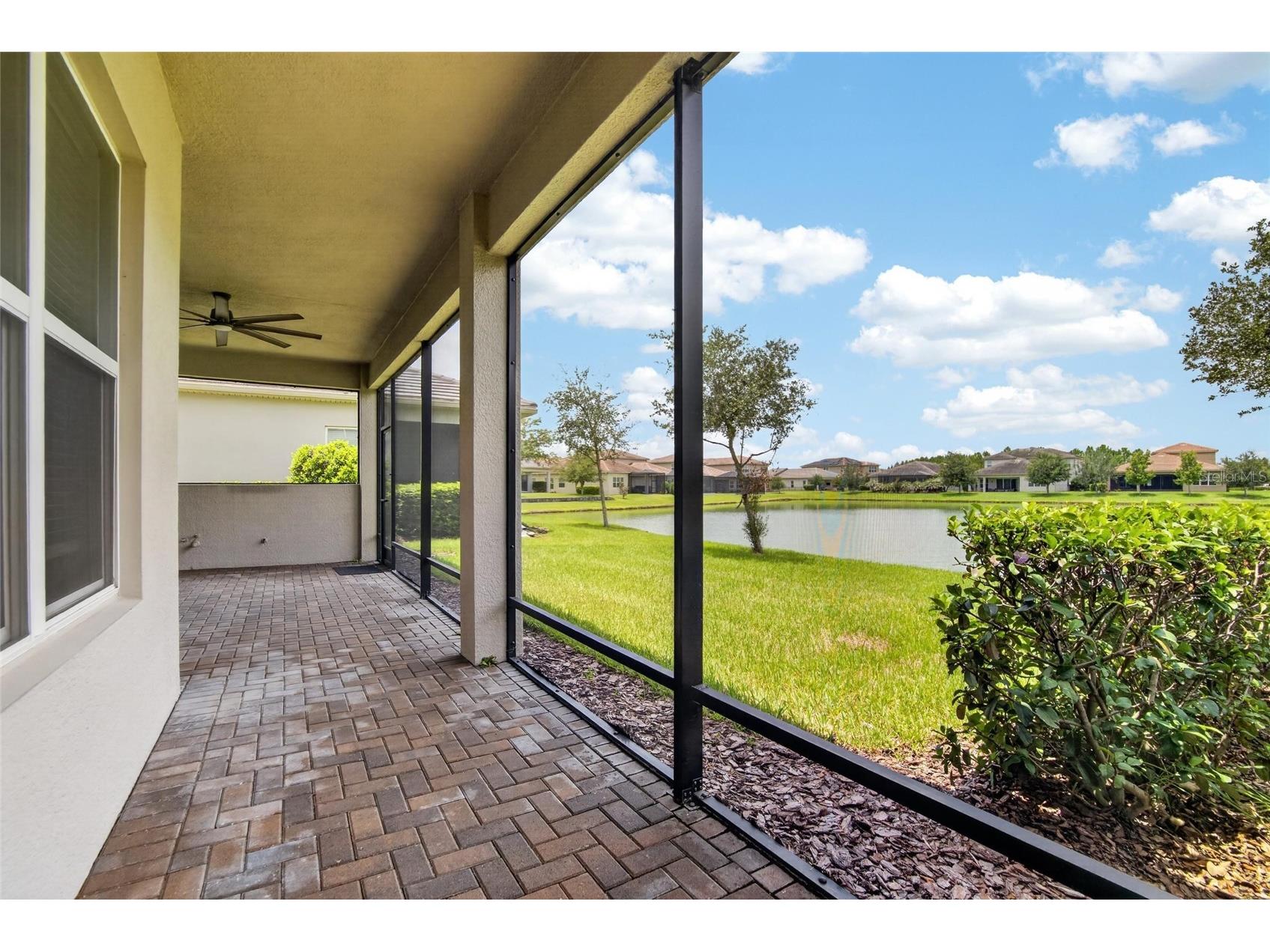 31142 Lindentree Drive Wesley Chapel FL 33543 TB8528584 image30
