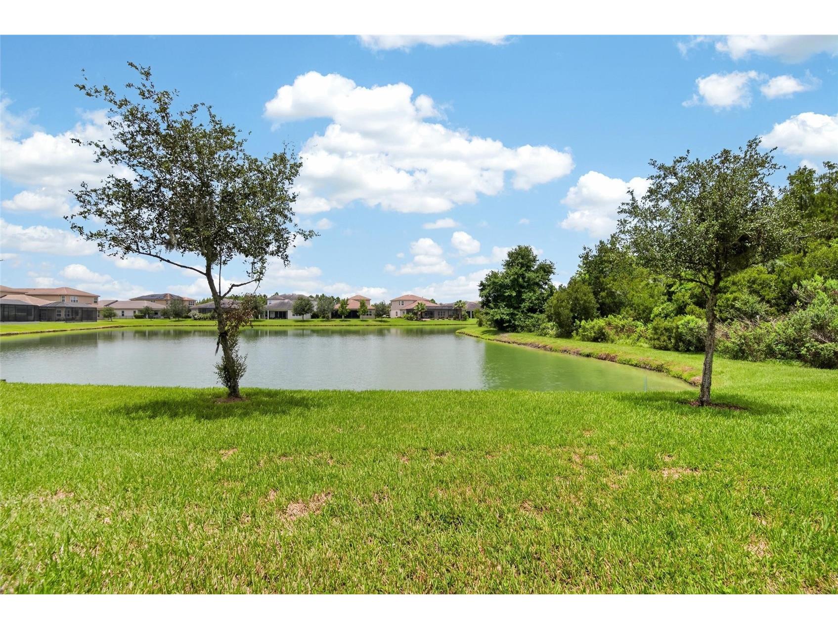 31142 Lindentree Drive Wesley Chapel FL 33543 TB8528584 image31