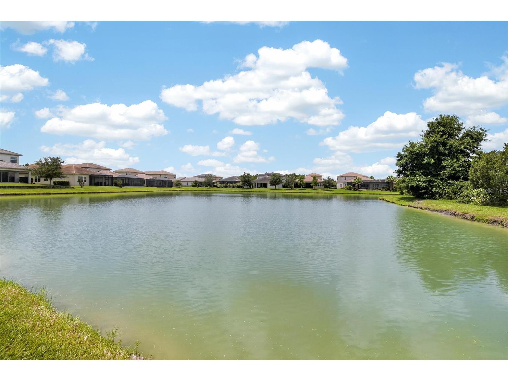 31142 Lindentree Drive Wesley Chapel FL 33543 TB8528584 image32