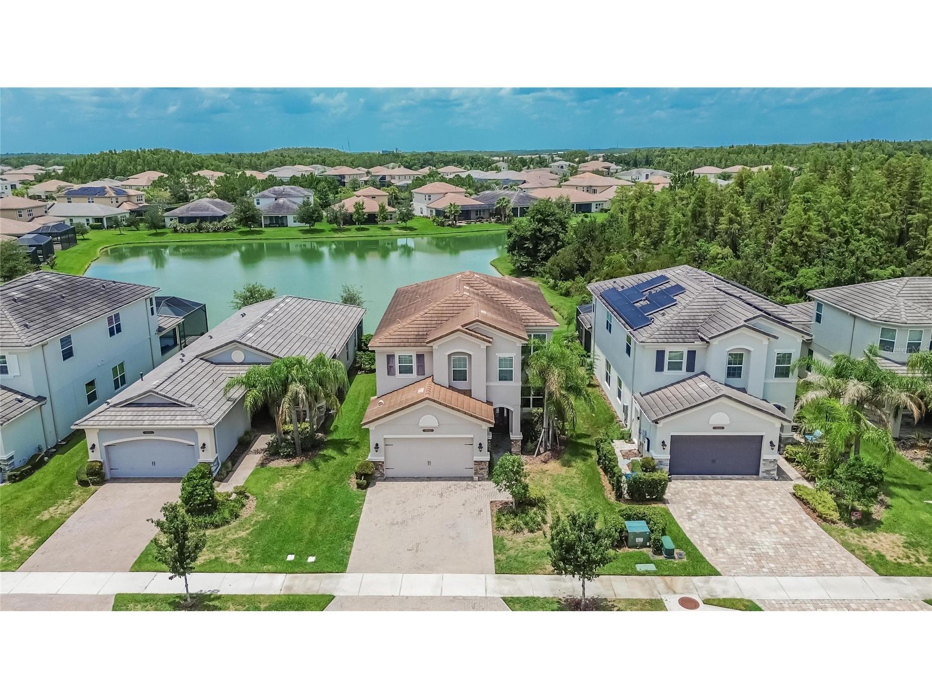 31142 Lindentree Drive Wesley Chapel FL 33543 TB8528584 image36