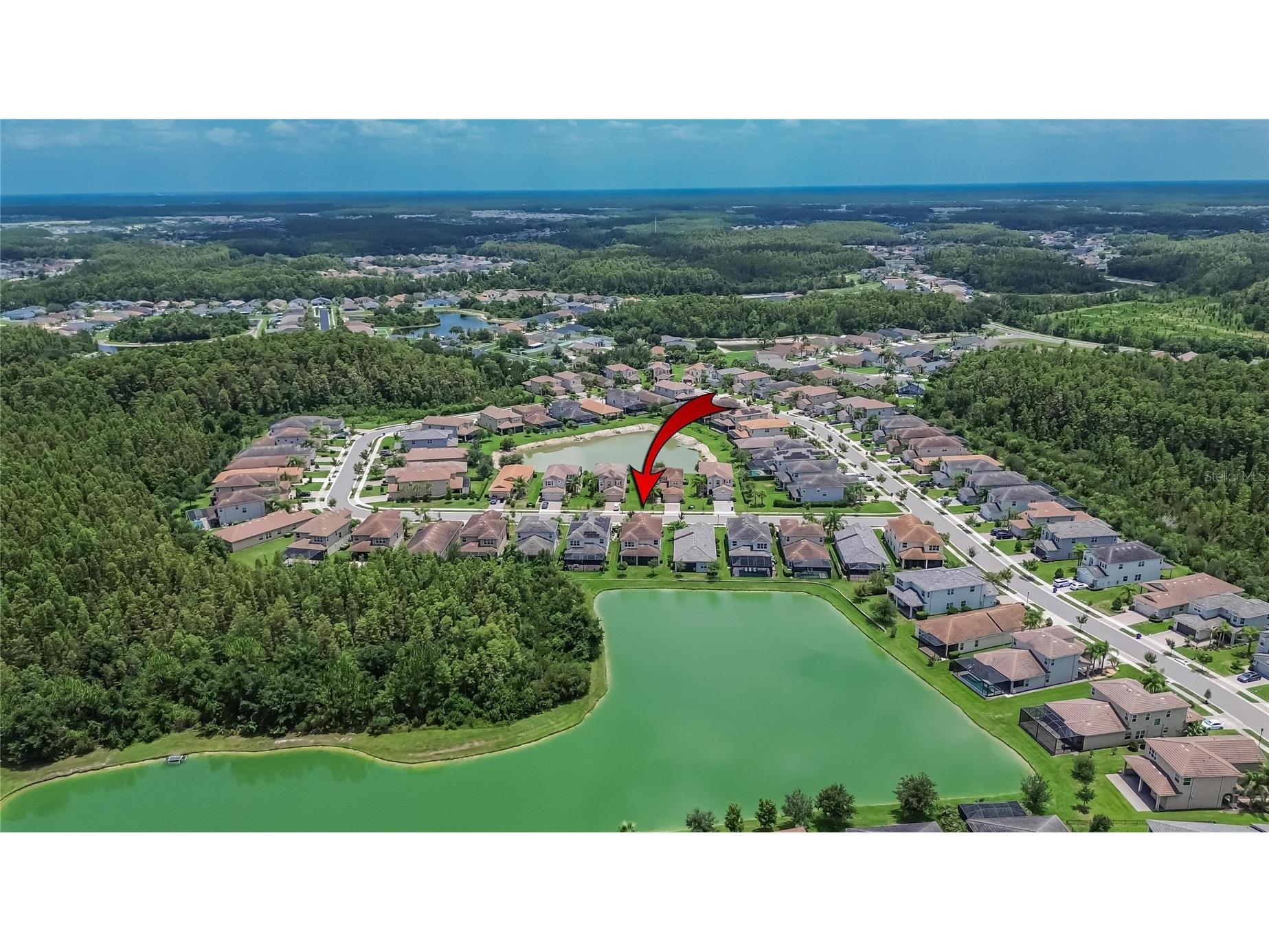 31142 Lindentree Drive Wesley Chapel FL 33543 TB8528584 image37