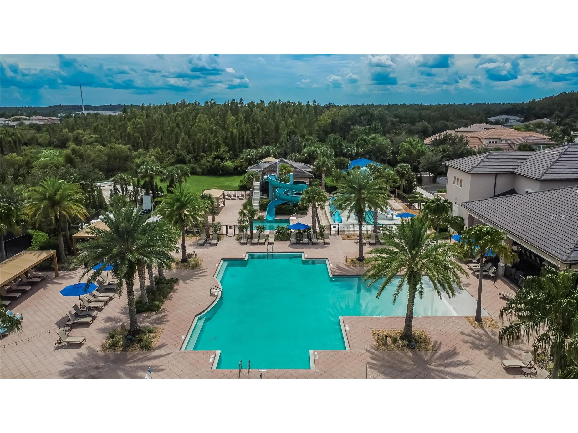 31142 Lindentree Drive Wesley Chapel FL 33543 TB8528584 image40