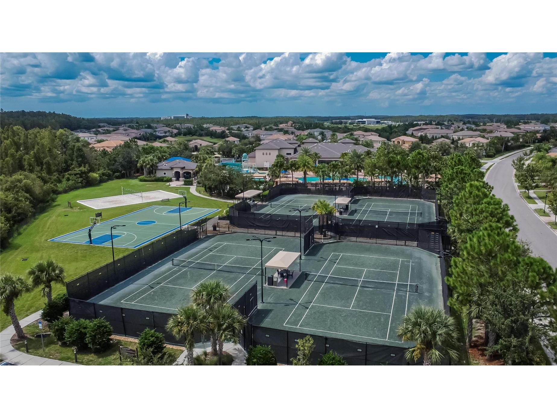 31142 Lindentree Drive Wesley Chapel FL 33543 TB8528584 image42