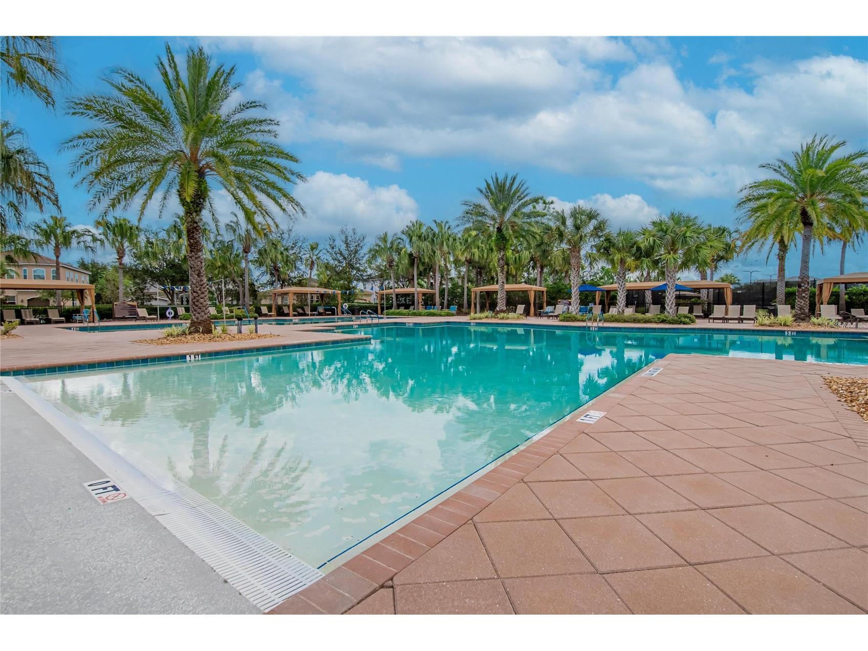 31142 Lindentree Drive Wesley Chapel FL 33543 TB8528584 image43