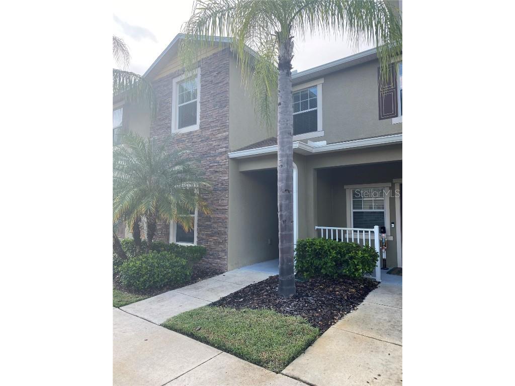 31145 Gossamer Way Wesley Chapel FL 33543 T3458321 image1