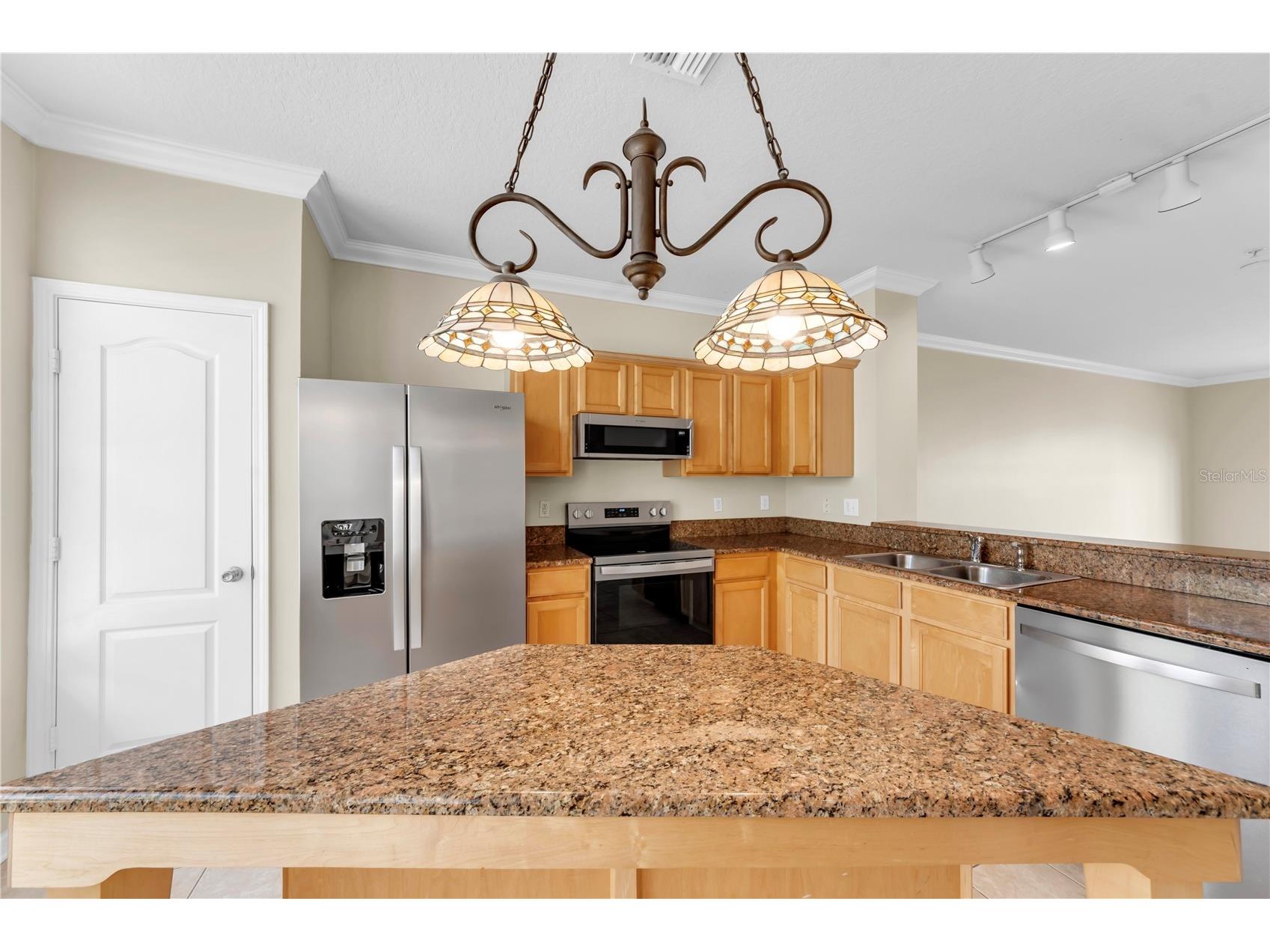 3115 Bayshore Oaks Drive Tampa FL 33611 TB8504026 image15