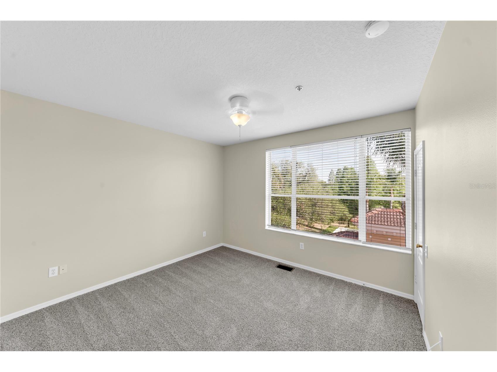 3115 Bayshore Oaks Drive Tampa FL 33611 TB8504026 image19