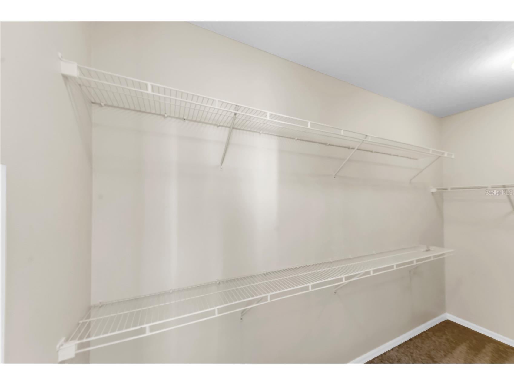 3115 Bayshore Oaks Drive Tampa FL 33611 TB8504026 image22