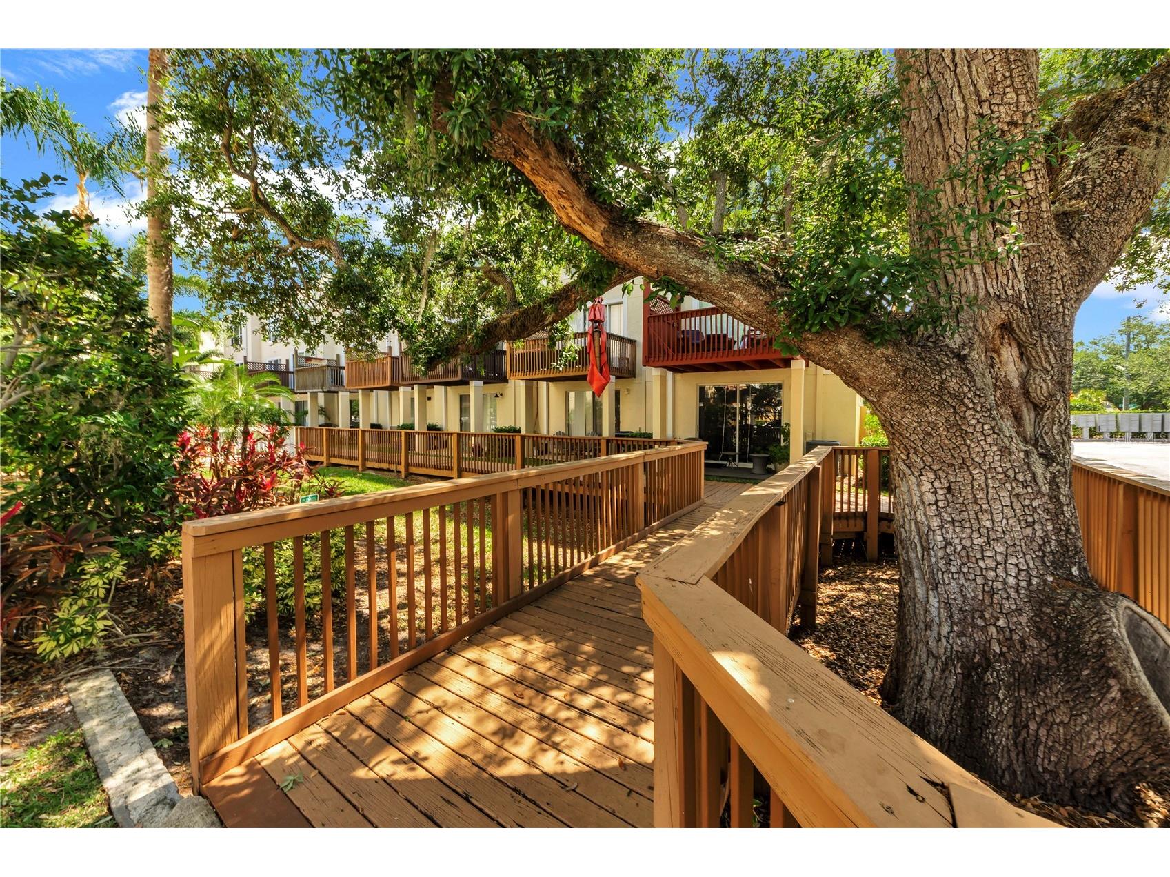 3115 Bayshore Oaks Drive Tampa FL 33611 TB8504026 image31