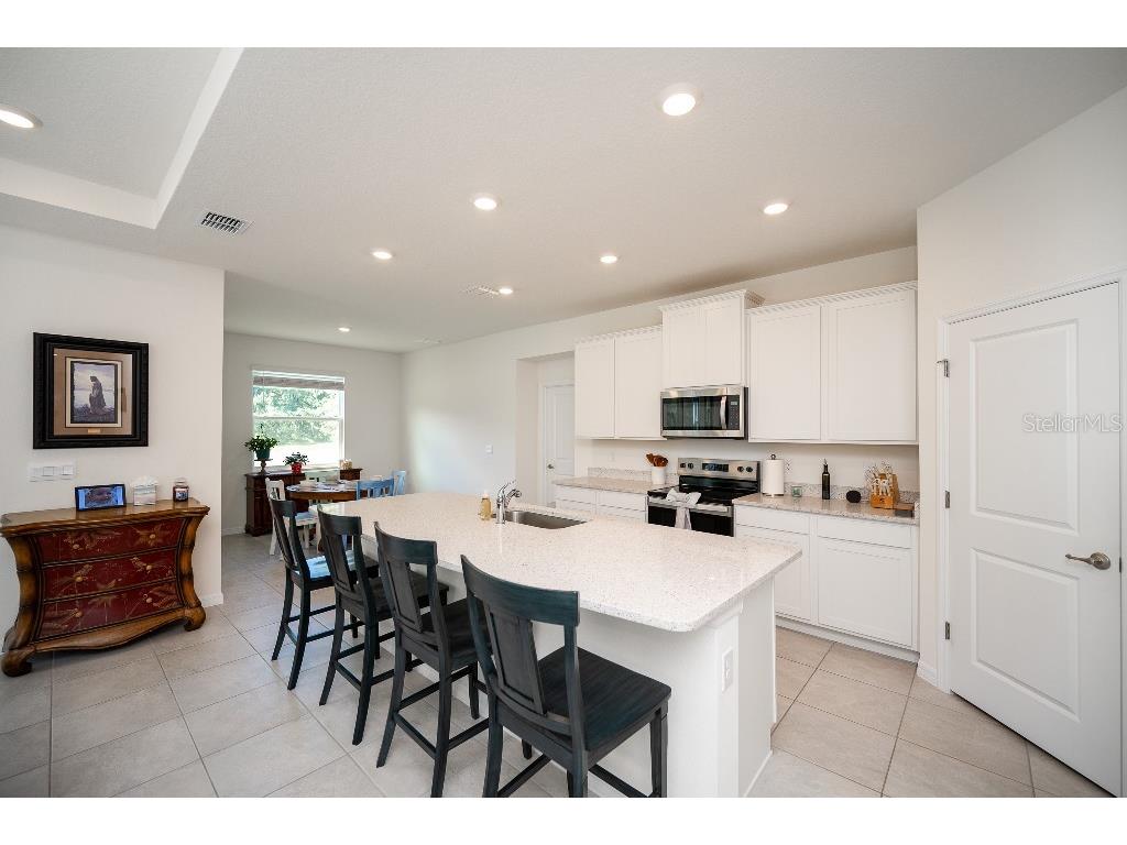 3115 Canopy Oak Blvd Wildwood FL 34785 TB8511517 image11