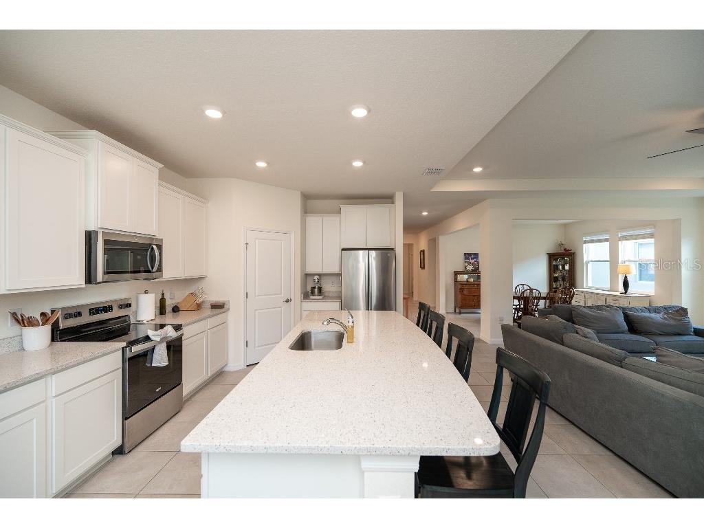 3115 Canopy Oak Blvd Wildwood FL 34785 TB8511517 image13