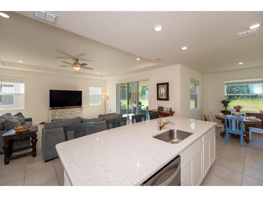3115 Canopy Oak Blvd Wildwood FL 34785 TB8511517 image14