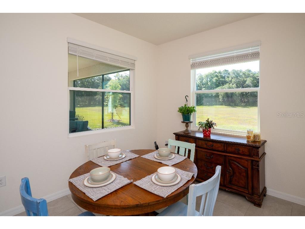 3115 Canopy Oak Blvd Wildwood FL 34785 TB8511517 image16