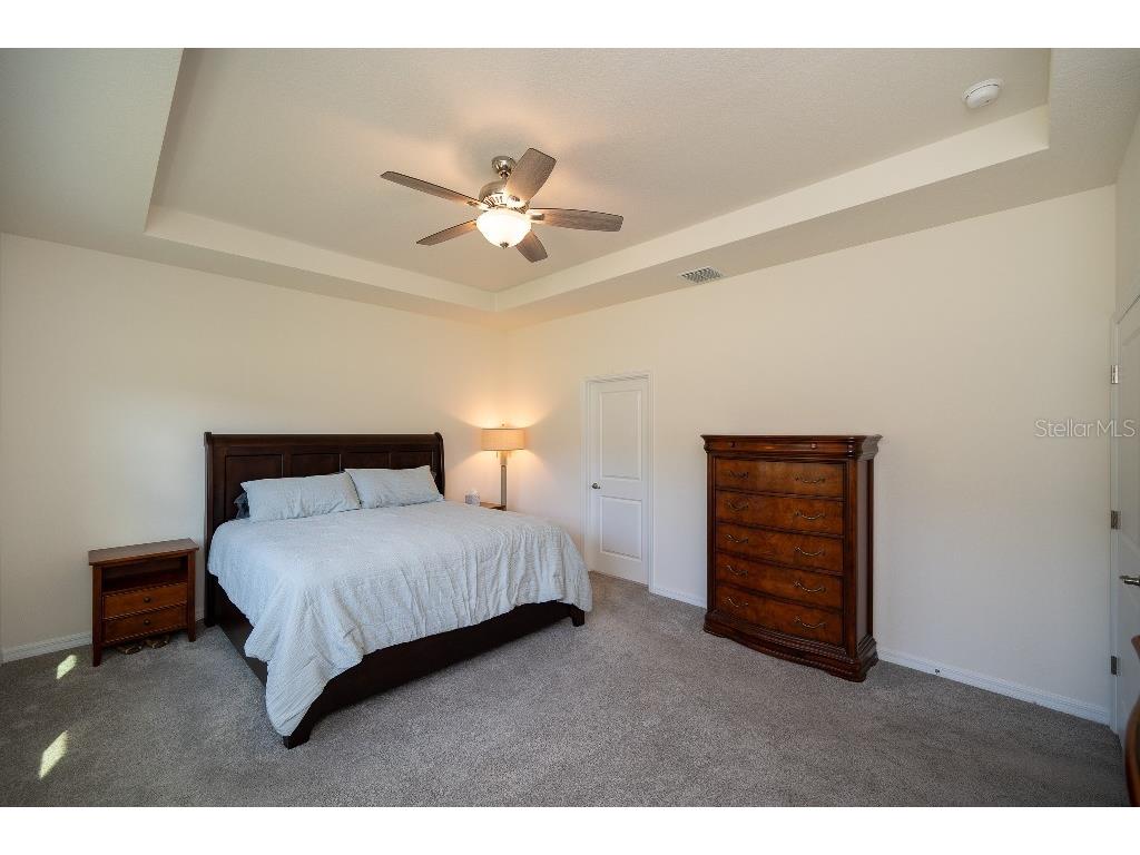 3115 Canopy Oak Blvd Wildwood FL 34785 TB8511517 image19