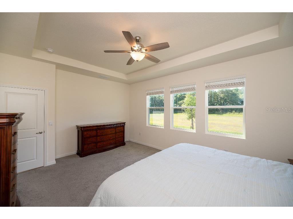 3115 Canopy Oak Blvd Wildwood FL 34785 TB8511517 image22