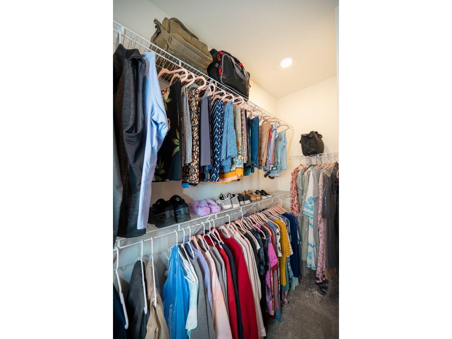 3115 Canopy Oak Blvd Wildwood FL 34785 TB8511517 image25