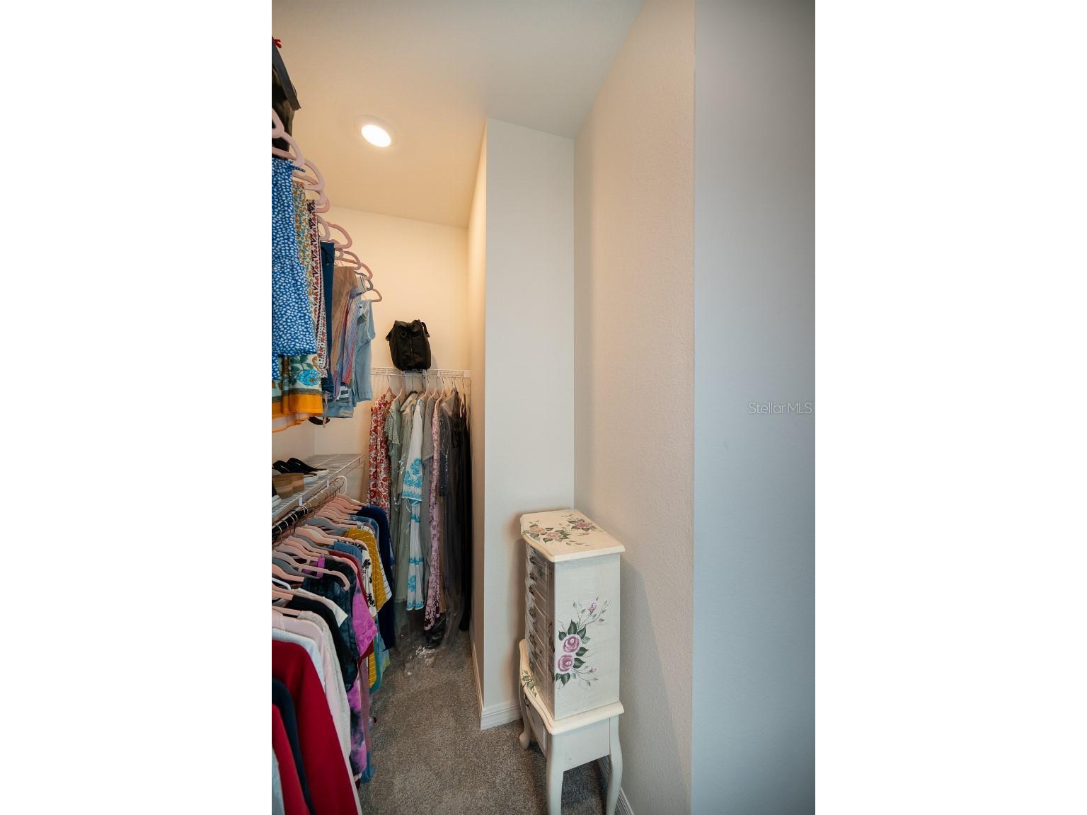 3115 Canopy Oak Blvd Wildwood FL 34785 TB8511517 image26