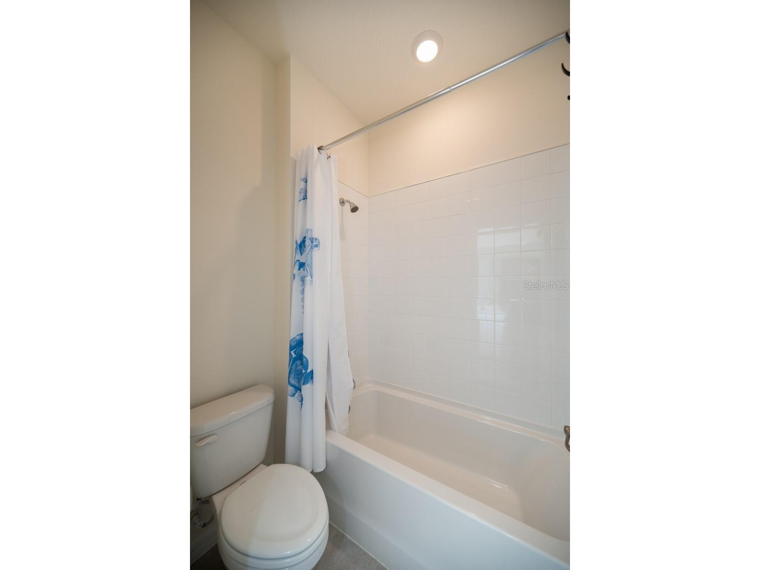 3115 Canopy Oak Blvd Wildwood FL 34785 TB8511517 image30