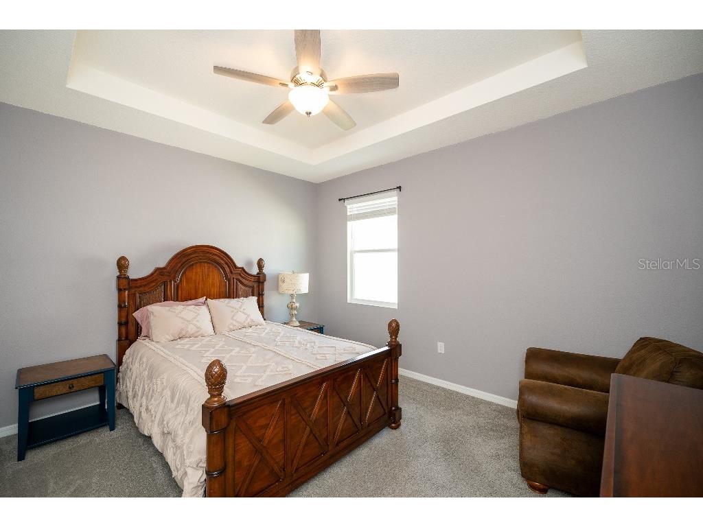 3115 Canopy Oak Blvd Wildwood FL 34785 TB8511517 image35