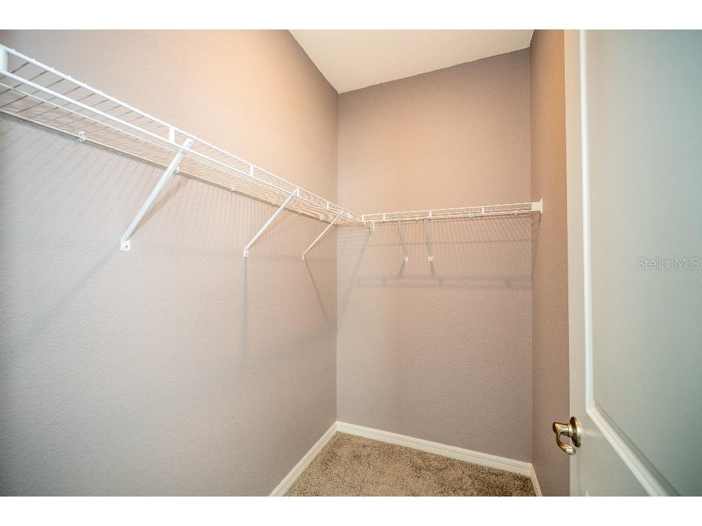 3115 Canopy Oak Blvd Wildwood FL 34785 TB8511517 image36