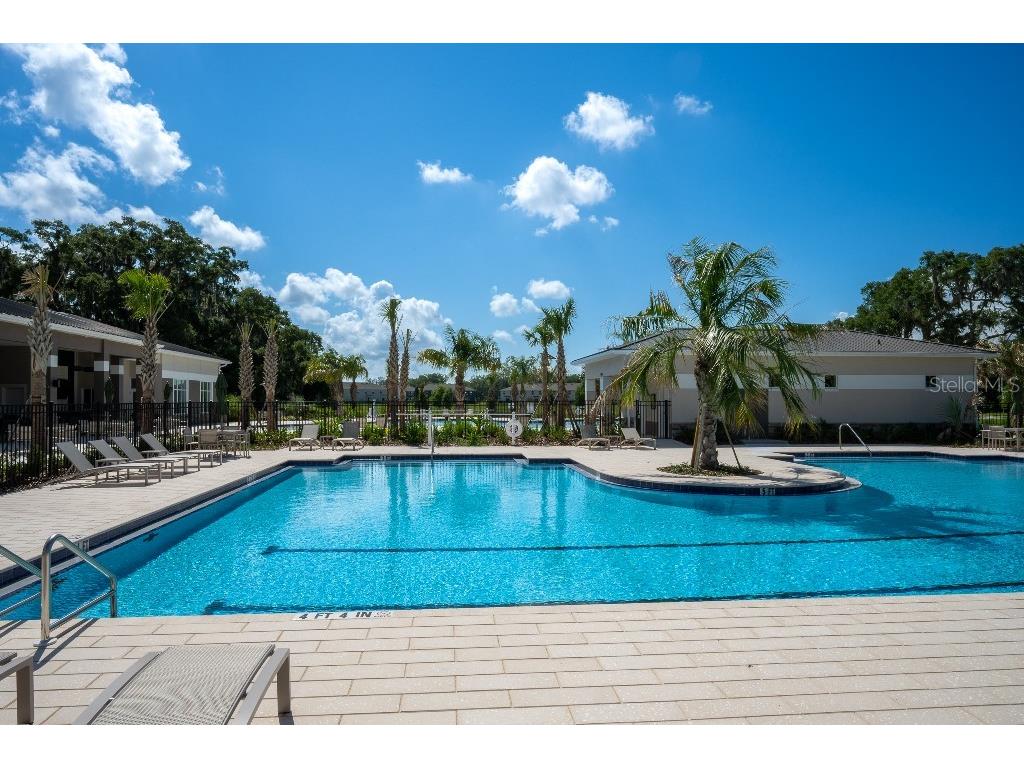 3115 Canopy Oak Blvd Wildwood FL 34785 TB8511517 image46
