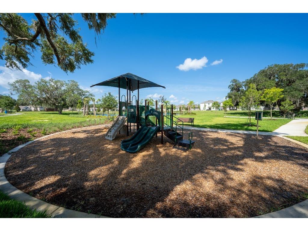 3115 Canopy Oak Blvd Wildwood FL 34785 TB8511517 image47