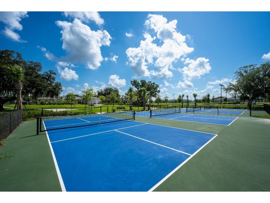 3115 Canopy Oak Blvd Wildwood FL 34785 TB8511517 image48