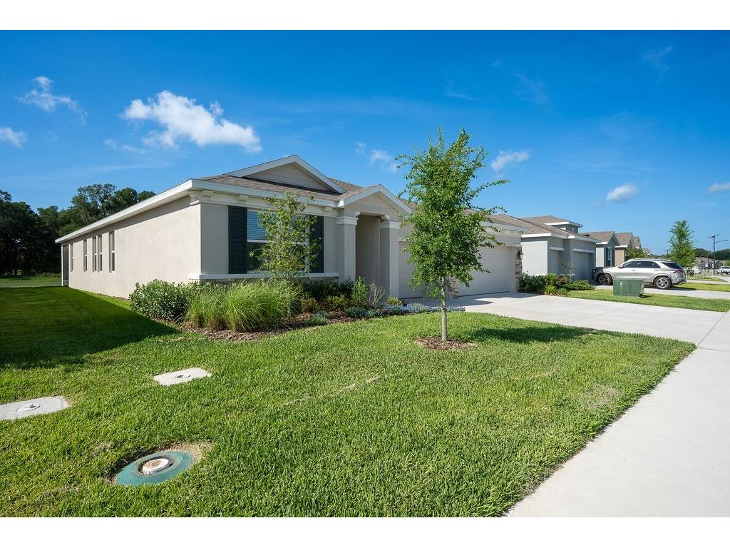 3115 Canopy Oak Boulevard Wildwood FL 34785 G5113630 image6
