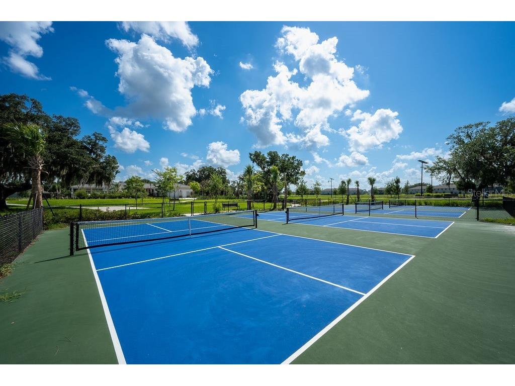 3115 Canopy Oak Boulevard Wildwood FL 34785 G5113630 image78