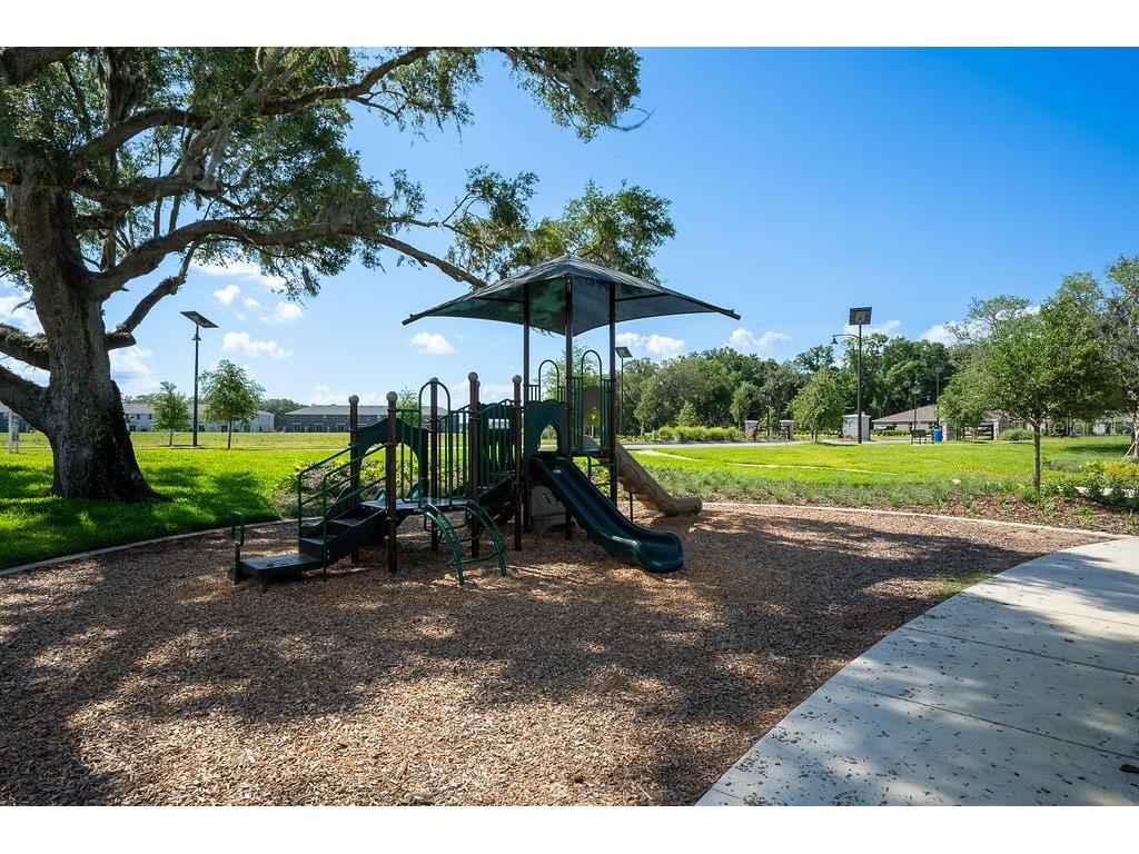 3115 Canopy Oak Boulevard Wildwood FL 34785 G5113630 image80