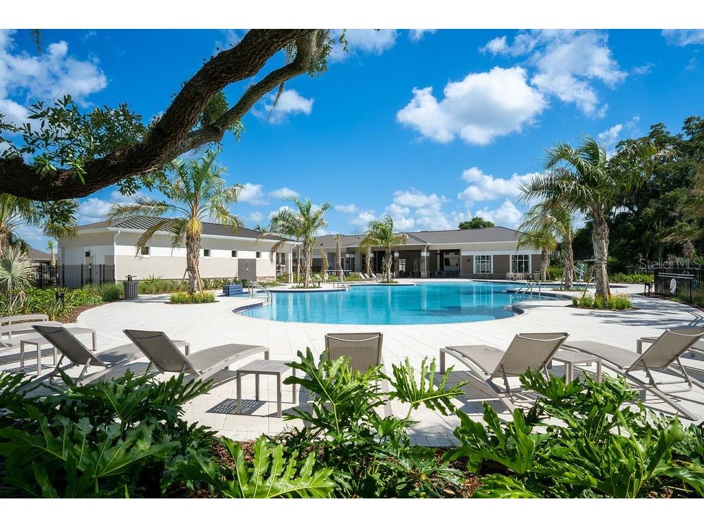 3115 Canopy Oak Boulevard Wildwood FL 34785 G5113630 image82
