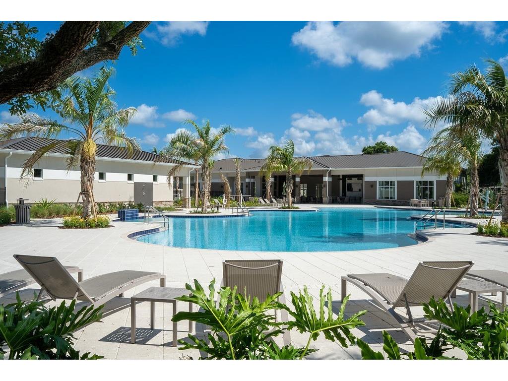 3115 Canopy Oak Boulevard Wildwood FL 34785 G5113630 image83