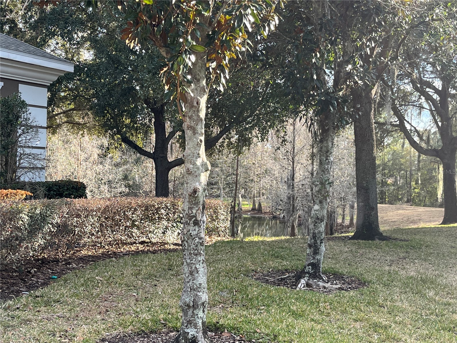 3115 Capri Isle Way Orlando FL 32835 O6379552 image38
