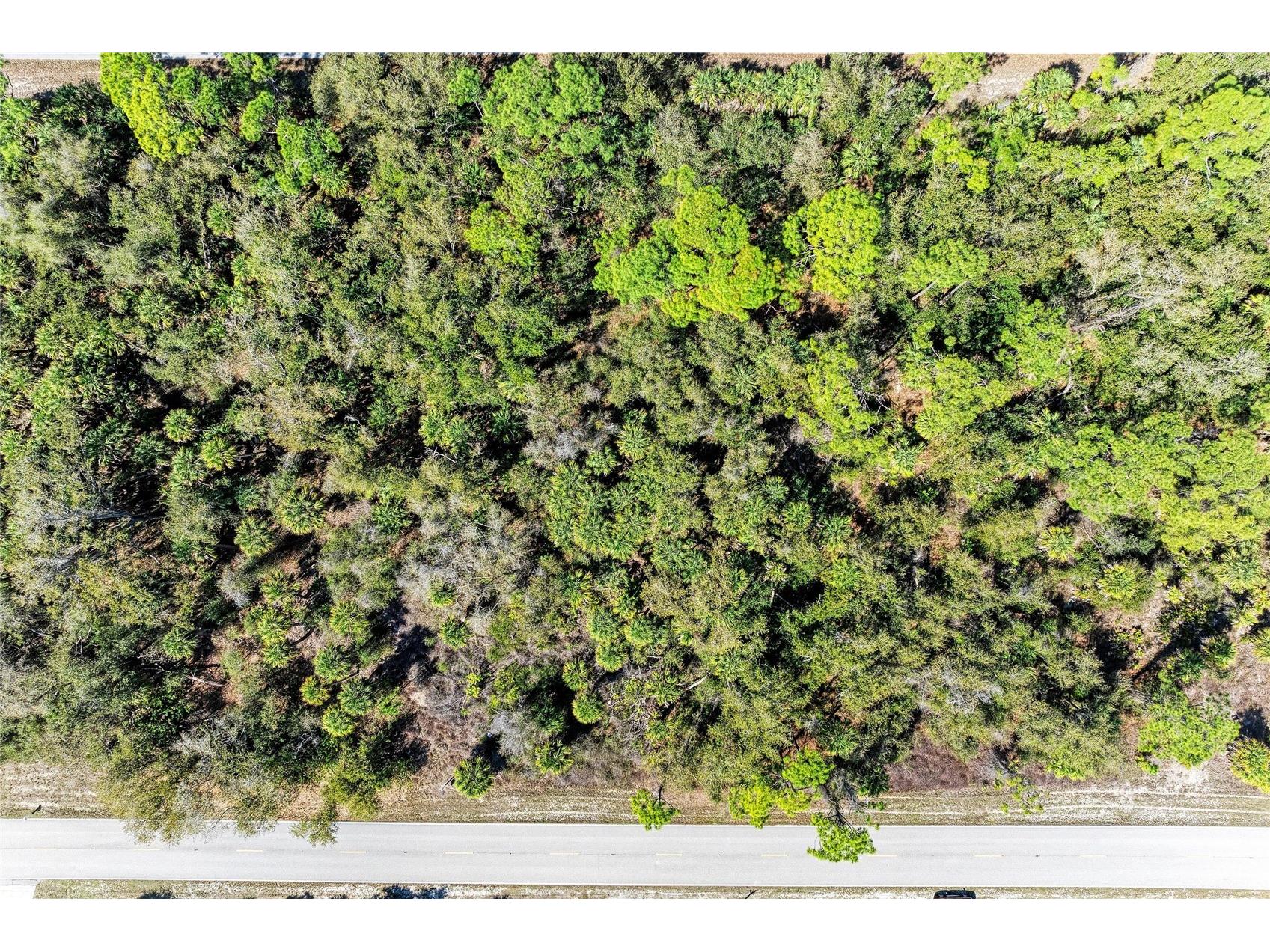 3115 Como Street Port Charlotte FL 33948 A4685161 image11