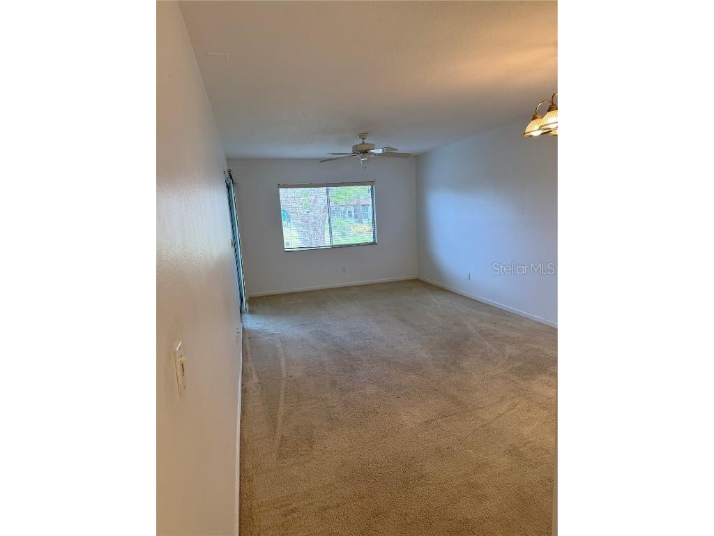 3115 Mission Grove Drive Palm Harbor FL 34684 TB8342770 image10