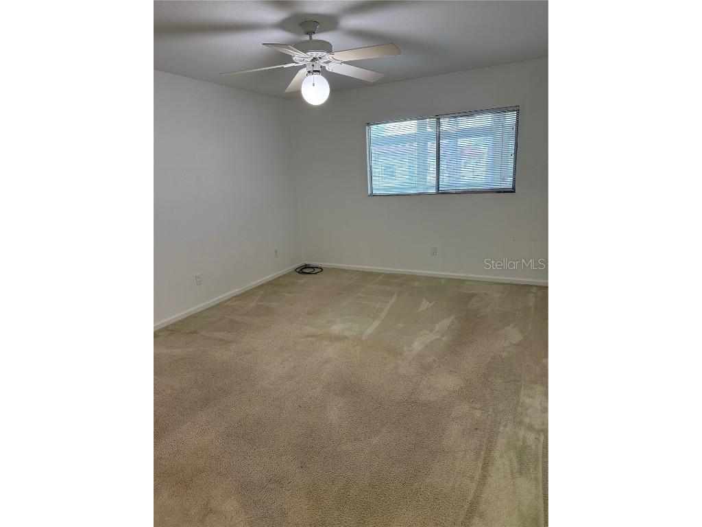 3115 Mission Grove Drive Palm Harbor FL 34684 TB8342770 image11