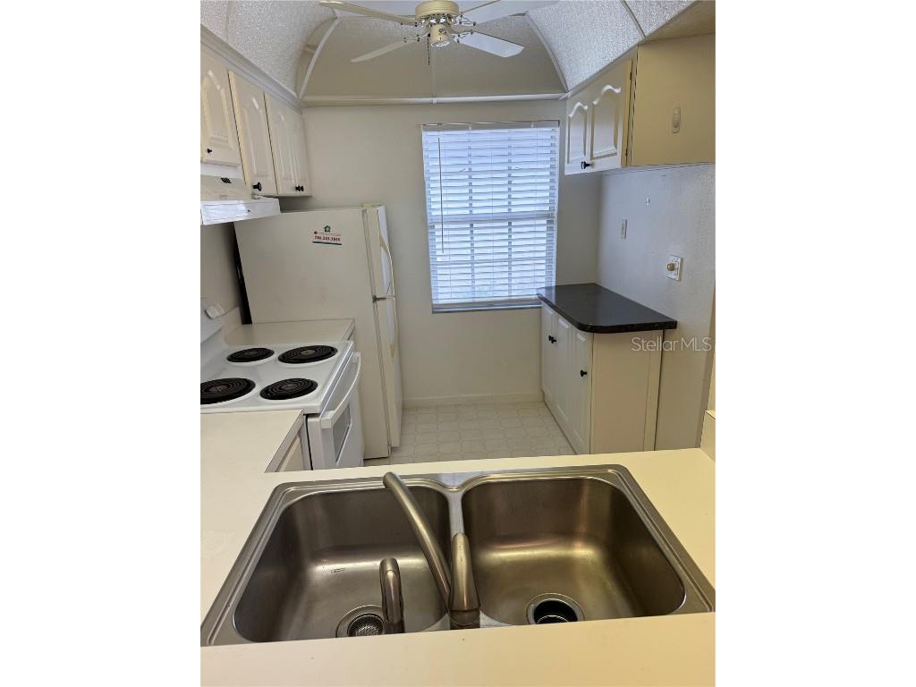 3115 Mission Grove Drive Palm Harbor FL 34684 TB8342770 image8