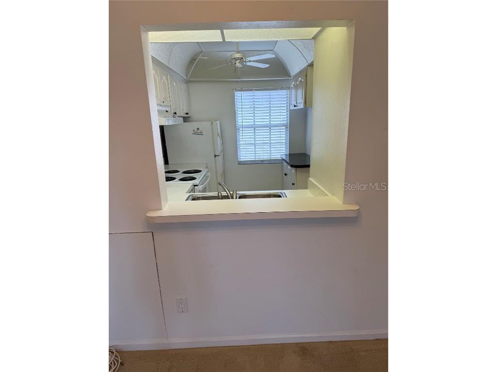 3115 Mission Grove Drive Palm Harbor FL 34684 TB8342770 image9