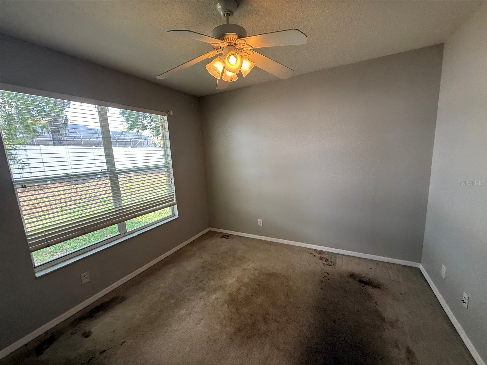 3115 Red Lion Drive Valrico FL 33596 TB8496984 image15