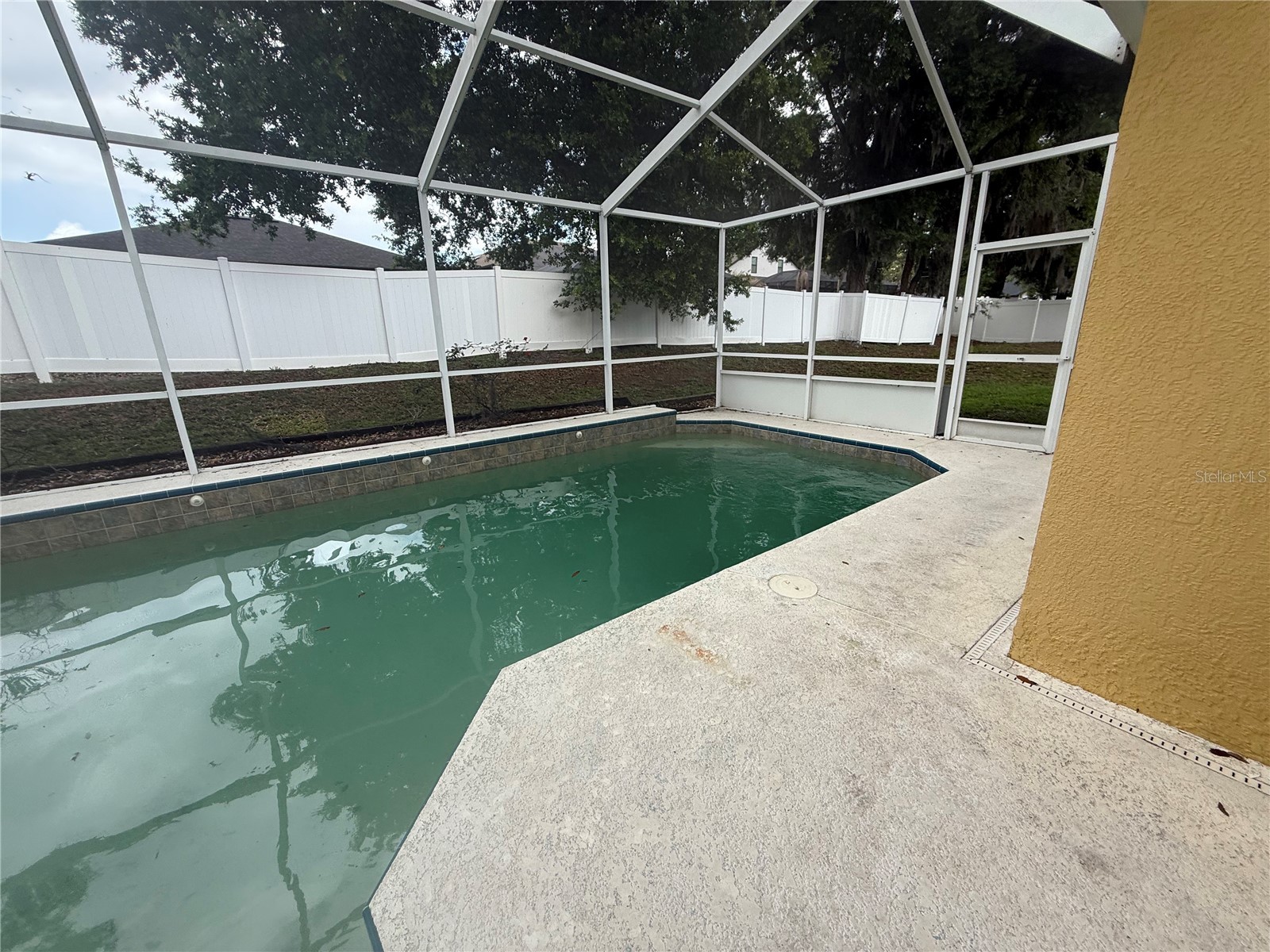 3115 Red Lion Drive Valrico FL 33596 TB8496984 image21