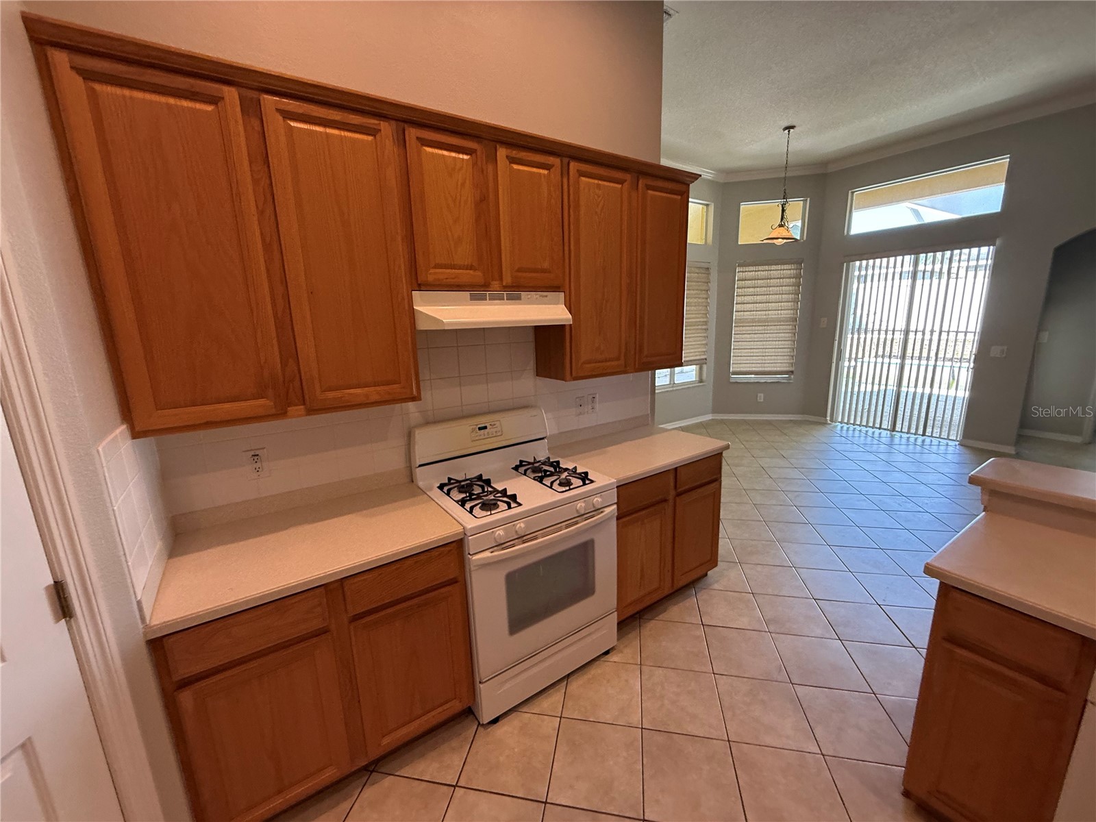 3115 Red Lion Drive Valrico FL 33596 TB8496984 image7
