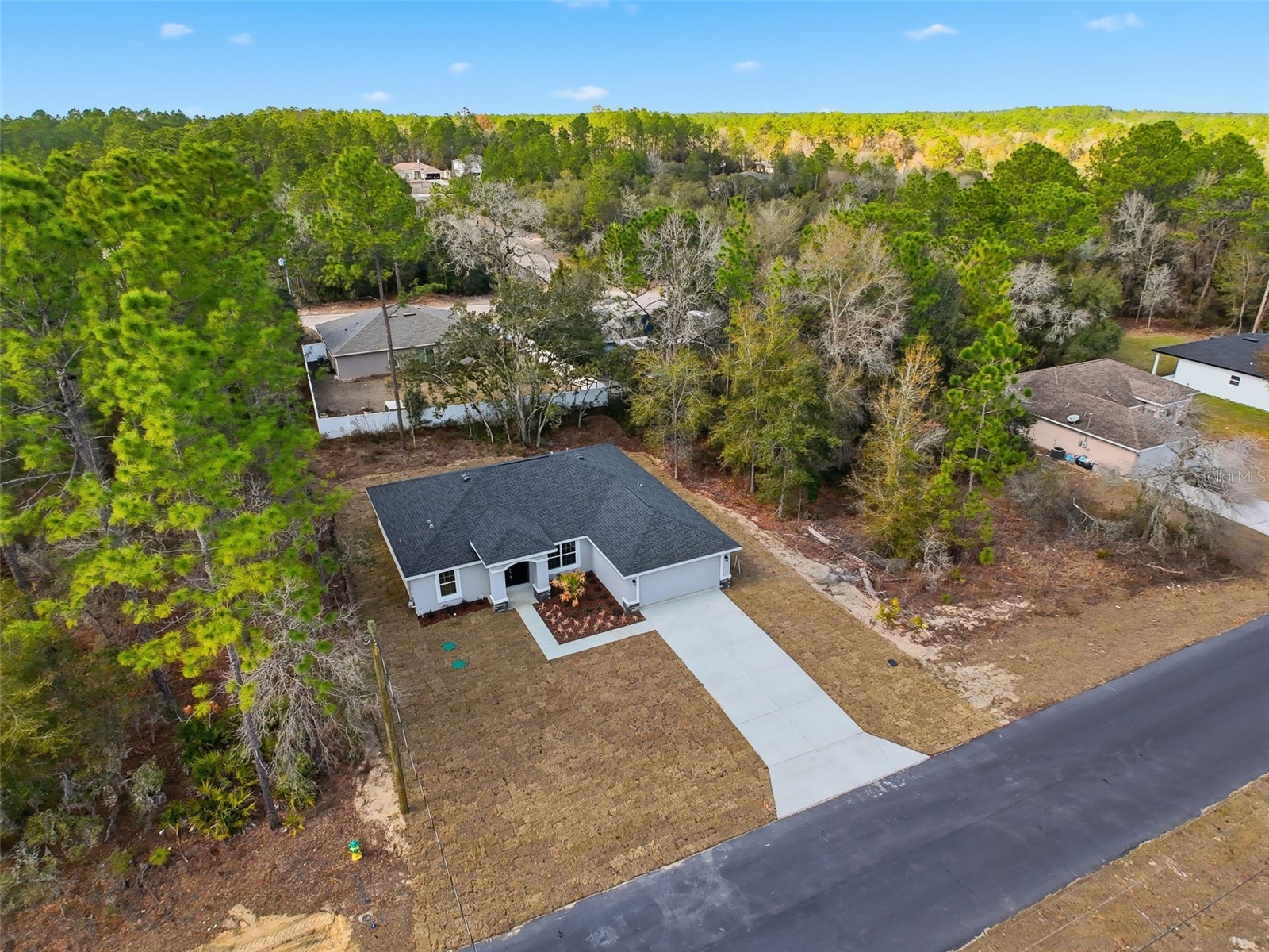 3115 W Fairbank Drive Citrus Springs FL 34433 TB8478693 image60