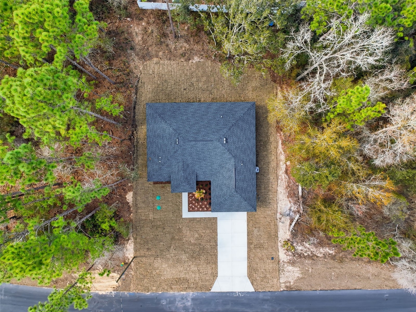 3115 W Fairbank Drive Citrus Springs FL 34433 TB8478693 image61