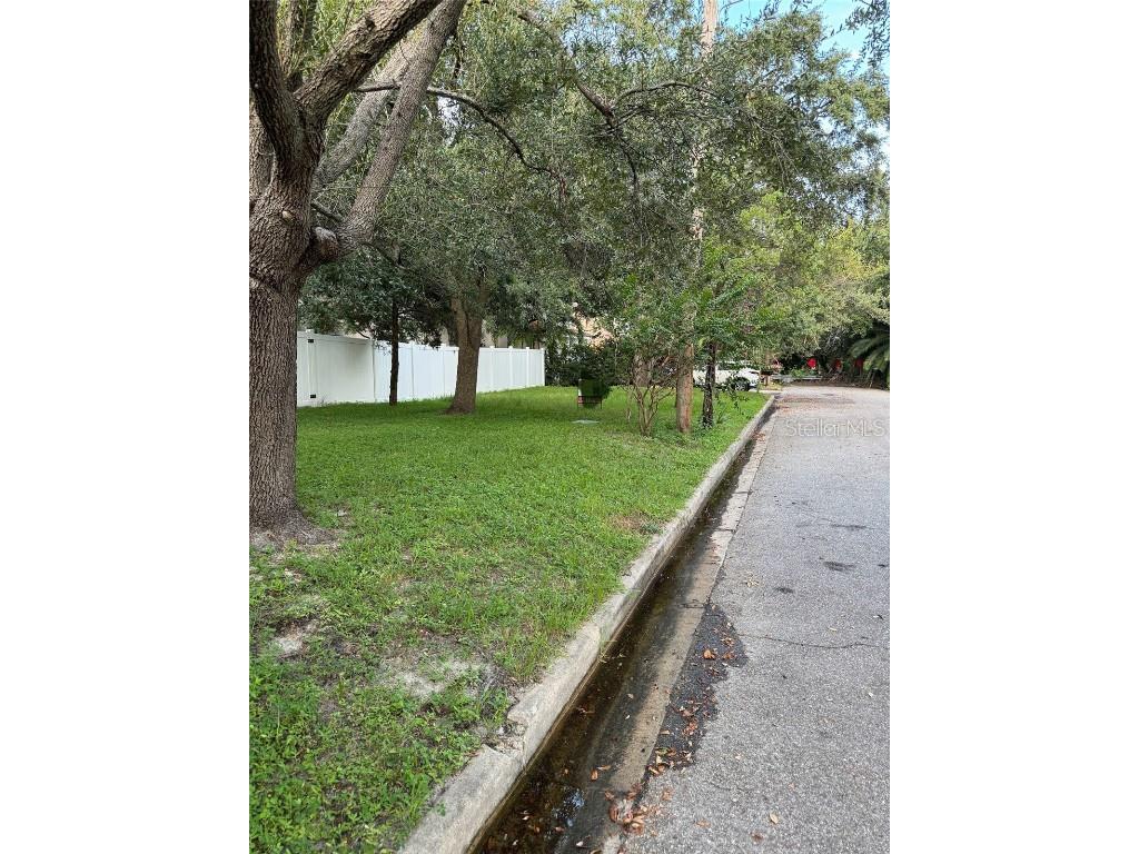 3115 W San Pedro Street Tampa FL 33629 TB8442160 image6