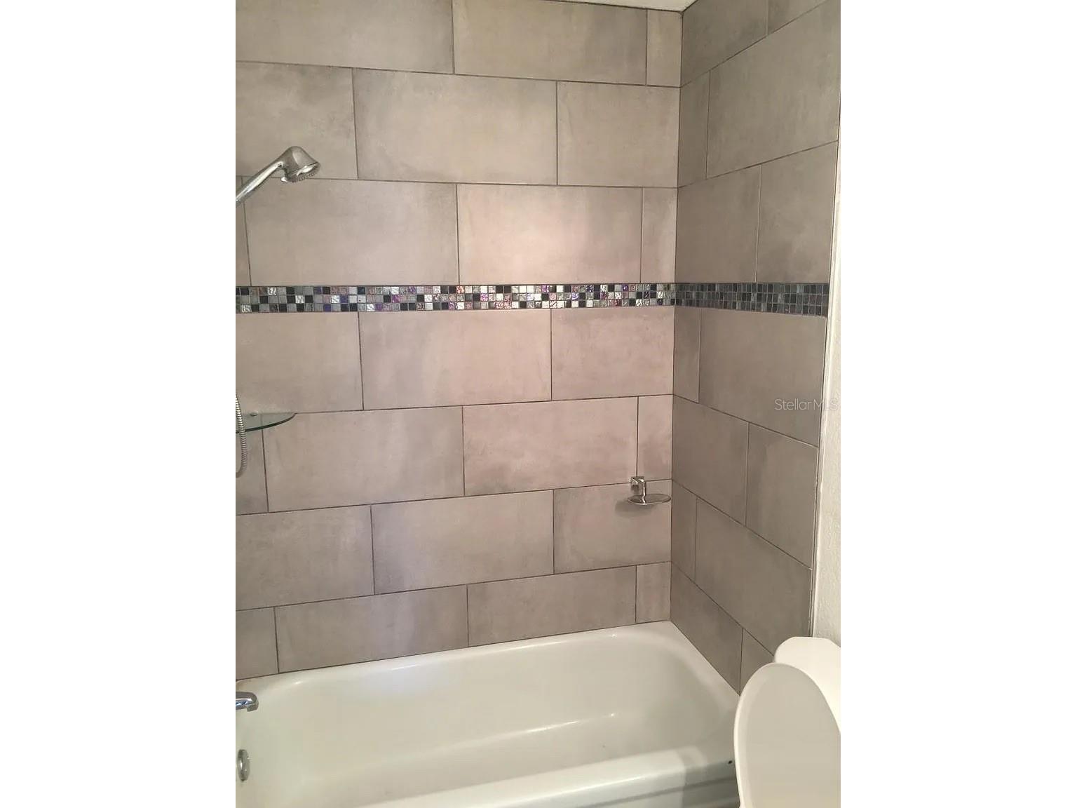 3115 Winchester Drive Dunedin FL 34698 TB8465144 image10