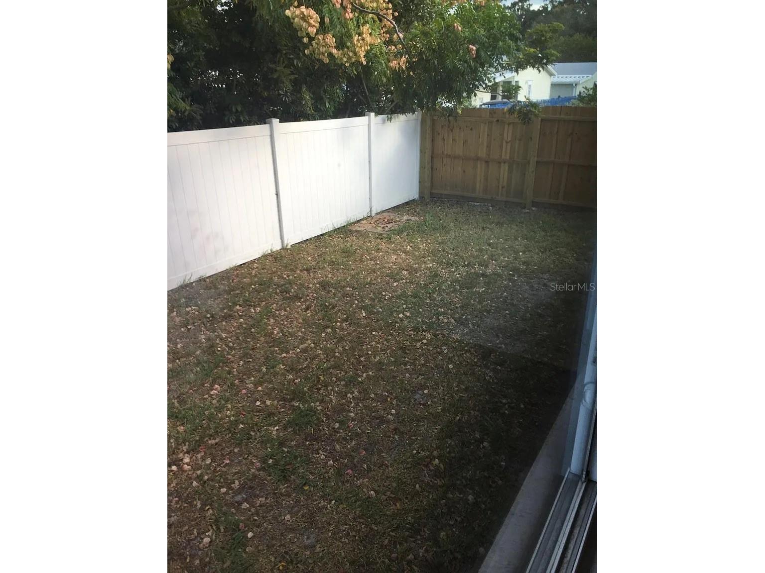 3115 Winchester Drive Dunedin FL 34698 TB8465144 image11