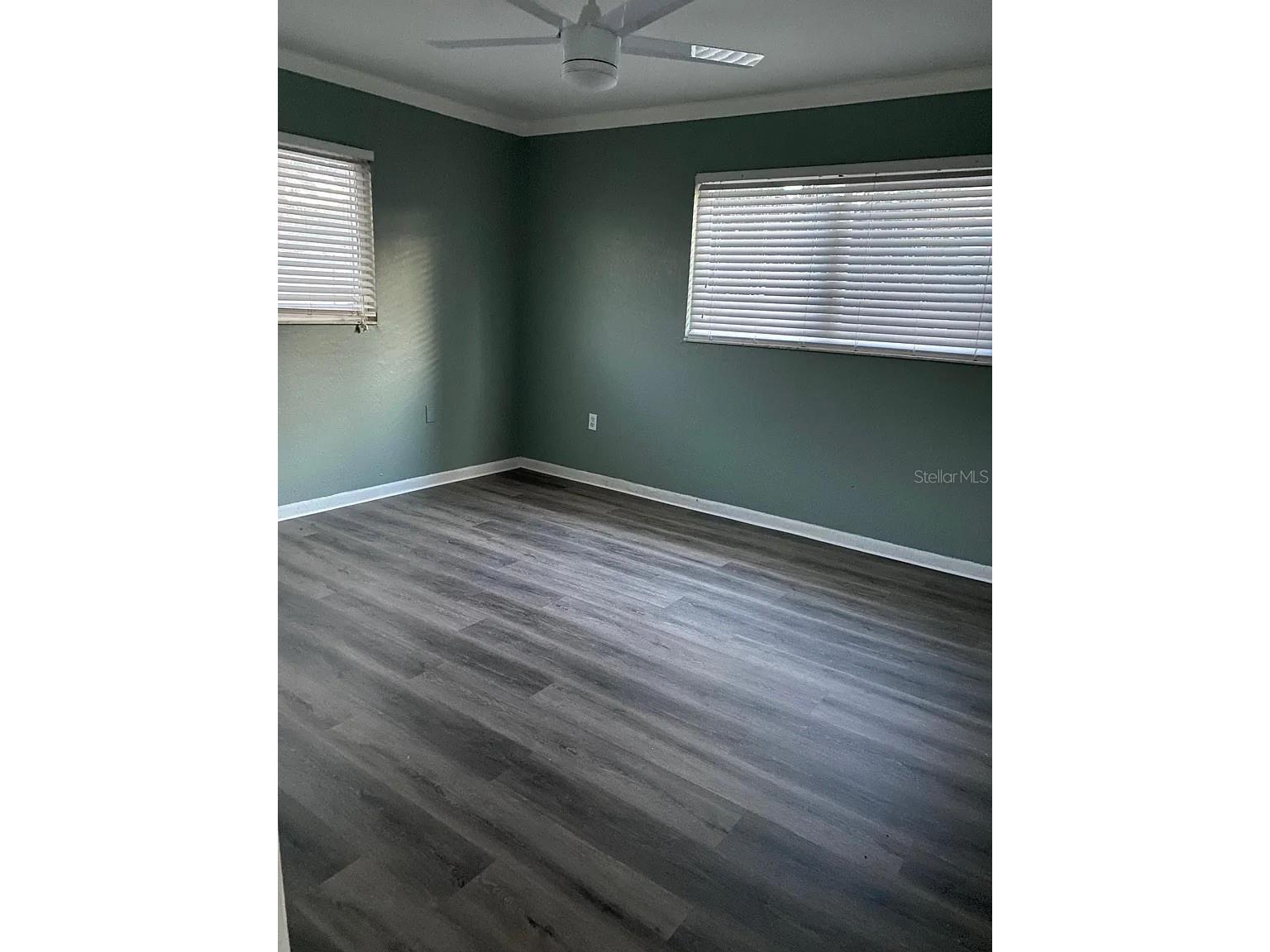 3115 Winchester Drive Dunedin FL 34698 TB8465144 image7